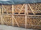 Buche hainbuche eiche